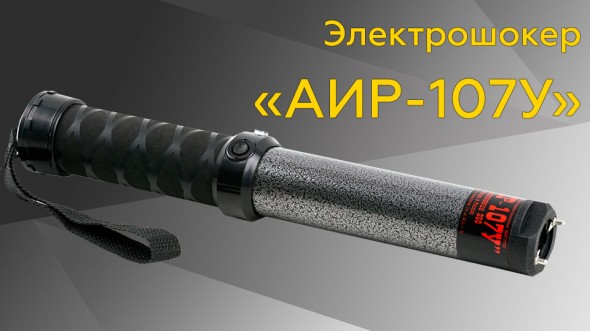 Депутат от ЮЗАО предложил выдавать электрошокеры сотрудникам подразделений транспортной безопасности